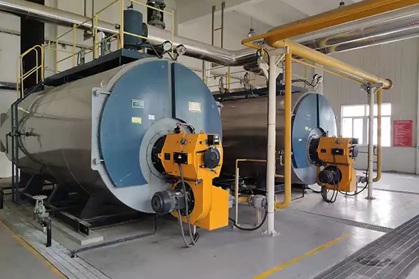 Coal Hot Water Boiler For Sale in 2023: Panduan Utama 