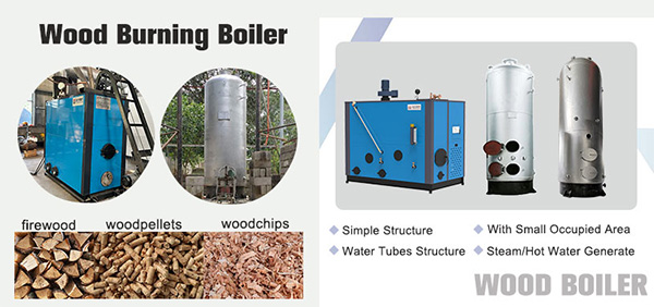 Wood Steam Boilers
