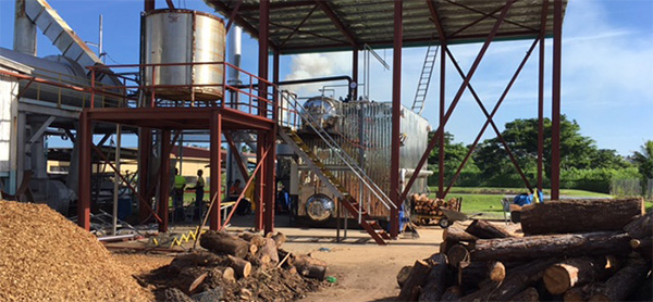 Wood Steam Boilers