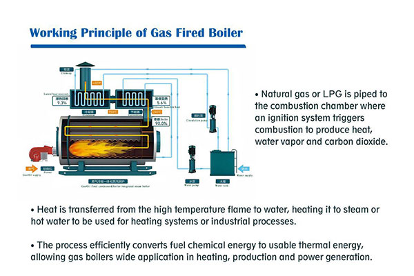Gas Boilers Explained