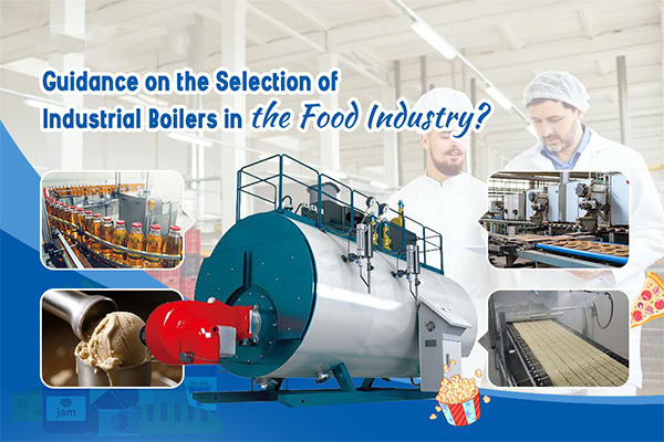 Types of Steam Boilers Used in Food Processing Plants